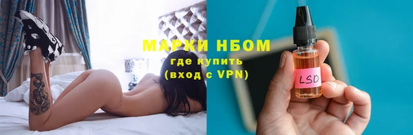 бошки Снежинск
