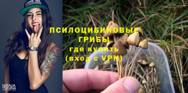 a pvp Алзамай