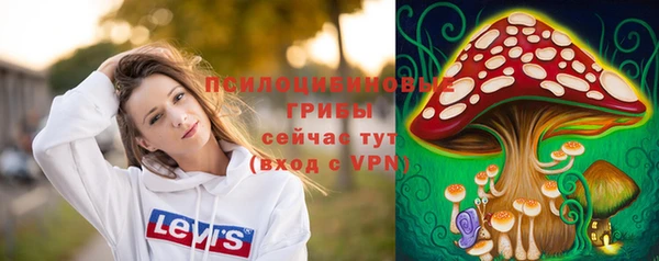 тгк Абдулино