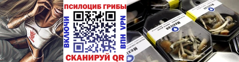 где можно купить наркотик  Емва  Галлюциногенные грибы MAGIC MUSHROOMS 